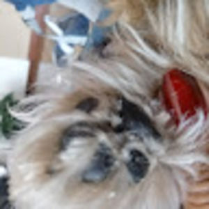 Meet your Posher, Daniela